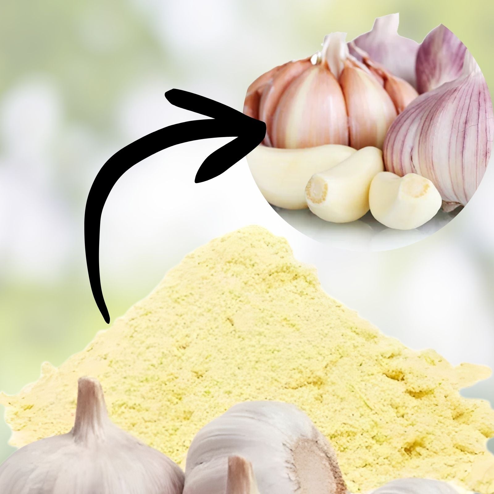 Garlic Powder 10 oz Allium sativum Dried Seasoning, All-Purpose, Cooking, Flavor Enhancer, Kitchen Spice