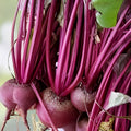 Beet Seeds Ruby Queen Heirloom Non-GMO Dark Red Beta vulgaris Vegetable Seeds 50+ Starter Plants