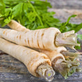 Parsnip Seeds 100 Count All American Heirloom Non-GMO Vegetable Gardening Supplies Pastinaca sativa Starter Plant