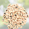 California Black Eye Peas Seeds – Heirloom Non-GMO Vigna unguiculata, Live Plant, Starter, Garden, Edible Legumes