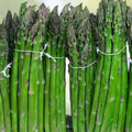 Asparagus Seeds Mary Washington Heirloom Vegetable Live Plant Cutting Starter Bare Root