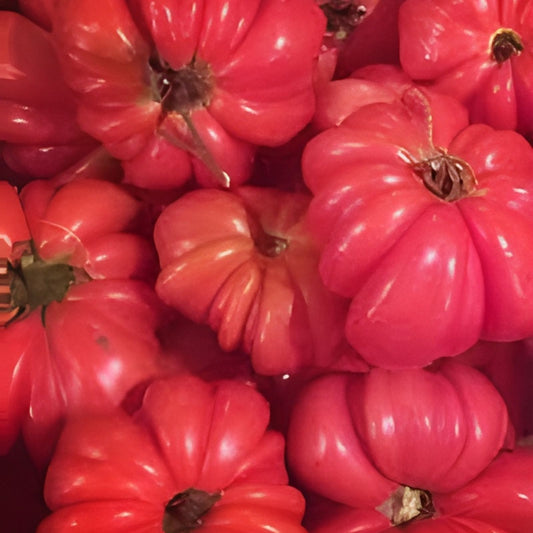 Mushroom Basket Tomato Seeds, 40 Organic Heirloom Vegetable Garden Seeds, Non-GMO, USA Grown, Starter Plant, Heirloom Tomato Variety