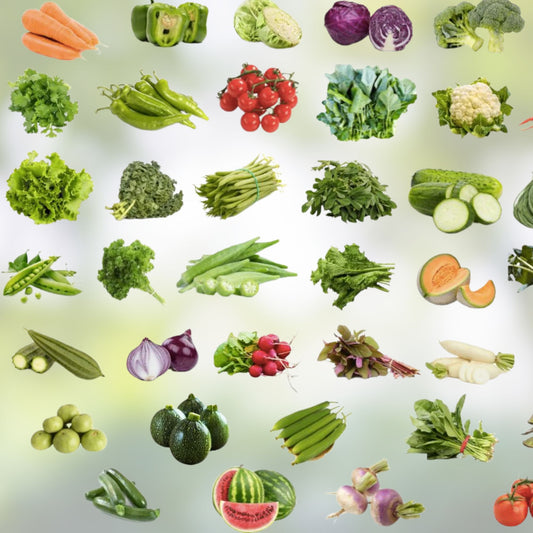 Heirloom Vegetable Seeds Collection 20 Organic Garden Varieties Planting Seeds for Home Garden, Vegetable Seed Pack