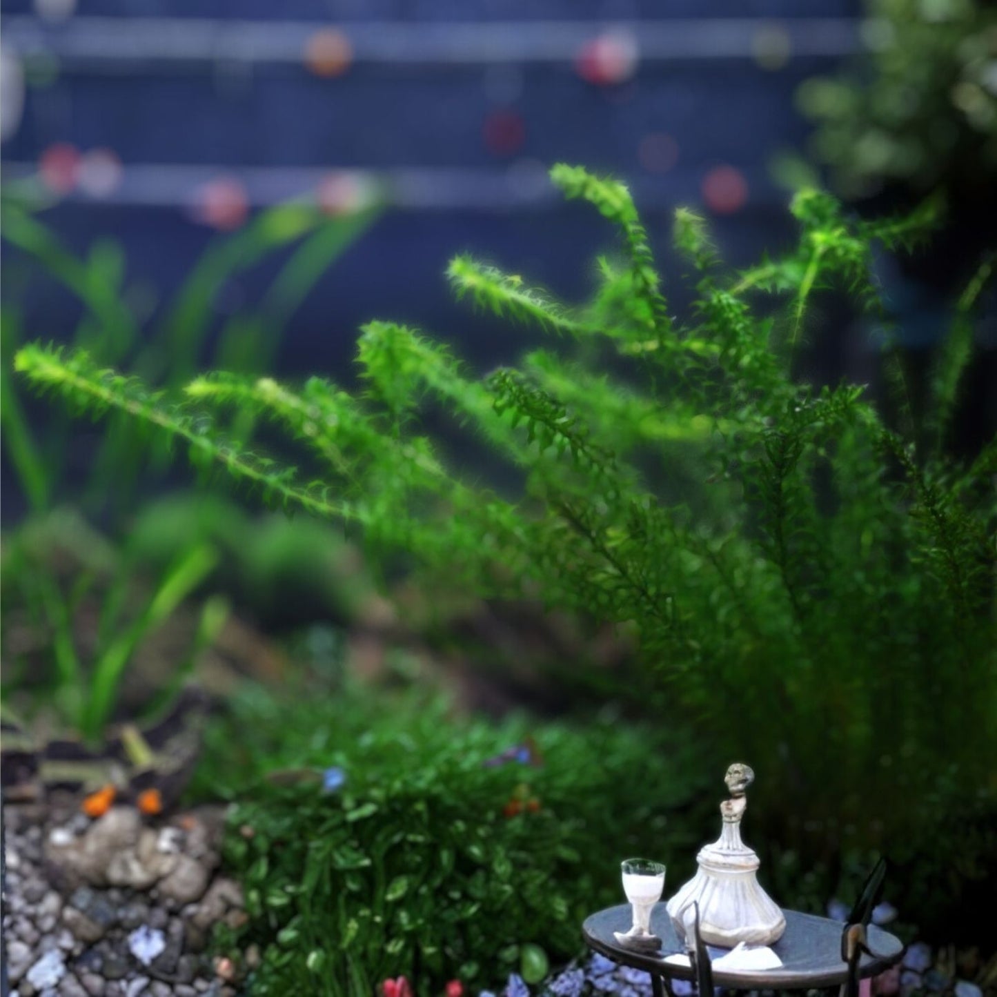 Lake Weed Cutter Tool 48" Aquatic Plant Removal Pond Maintenance Tool for Weed Cutting and Removal
