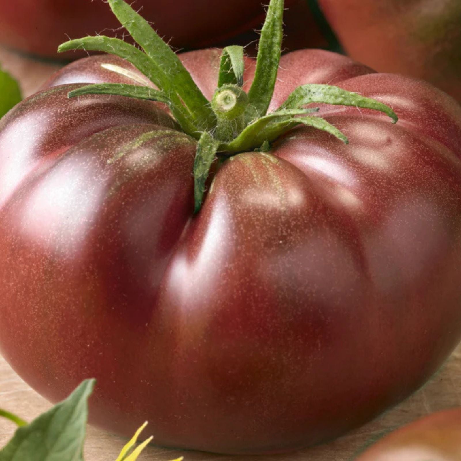 Chef's Choice Black Tomato Seeds, Organic Heirloom, Dark Purple, Live Plant, Starter, USA Grown, Vegetable Seed, Cutting