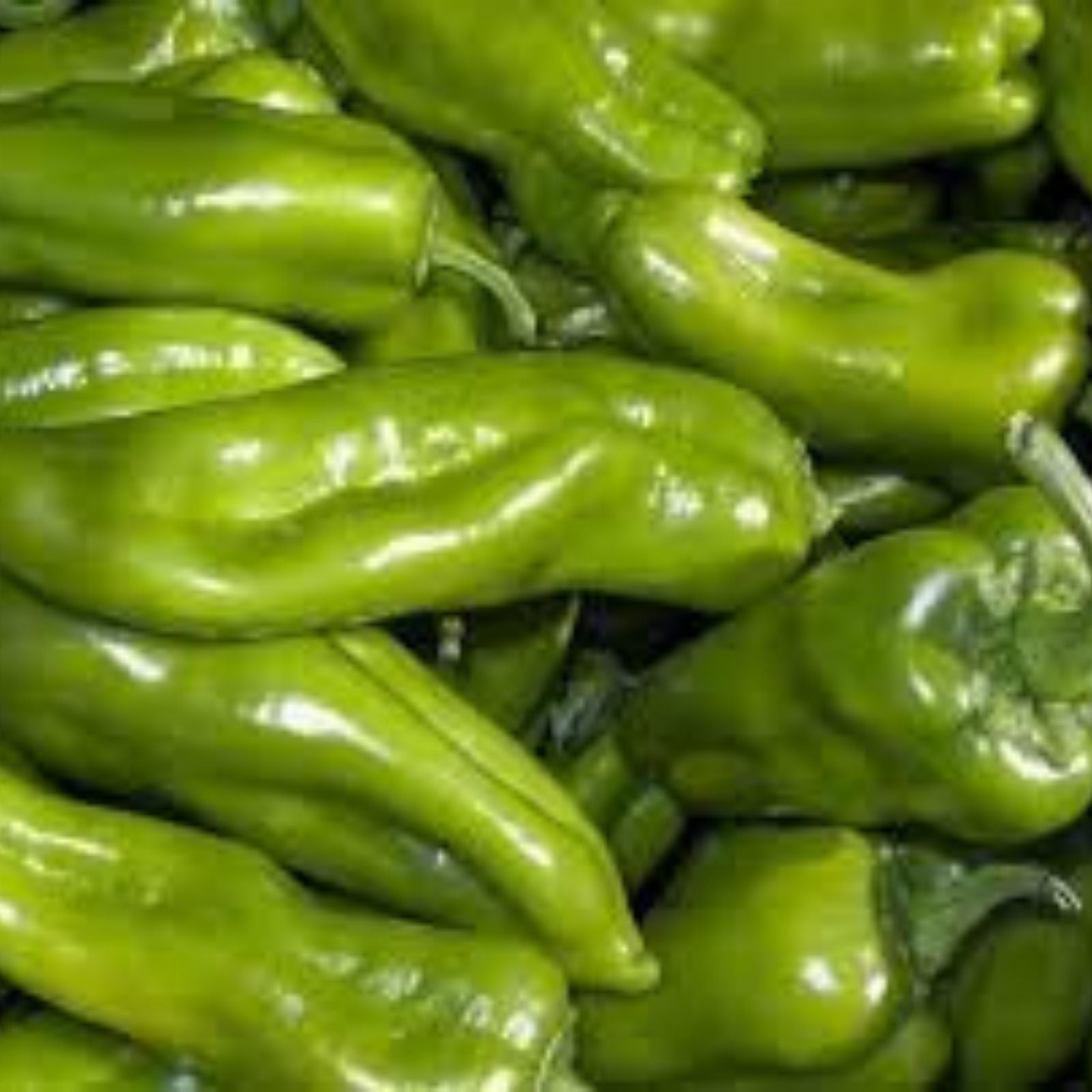 Organic Cubanelle Italian Sweet Pepper Seeds 50 Pack Capsicum annuum Heirloom Non-GMO Frying Pepper Plant