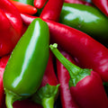 Early Jalapeno Pepper Seeds, Heirloom Non-GMO Capsicum annuum, Spicy Garden Starter, 100 Seeds, Live Plant or Cutting