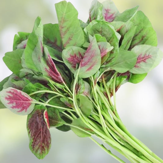 Green Chinese Spinach Seeds 100 Count, Edible Nutritious Leafy Greens, Amaranthus viridis Vegetable Seeds