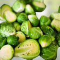 Brussel Sprout Seeds Churchill Variety Non-GMO Heirloom Brassica oleracea for Home Garden, Starter Plant, Live Seed
