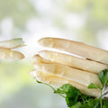 Radish Seeds for Planting | 100+ Non-GMO White Icicle Raphanus sativus Seed Pack | Fast Growing Vegetable Seeds