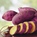 Organic Purple Sweet Potato Yams 5 Pounds – Heirloom, Non-GMO, Nutrient-Rich, Ready to Grow – Ipomoea batatas