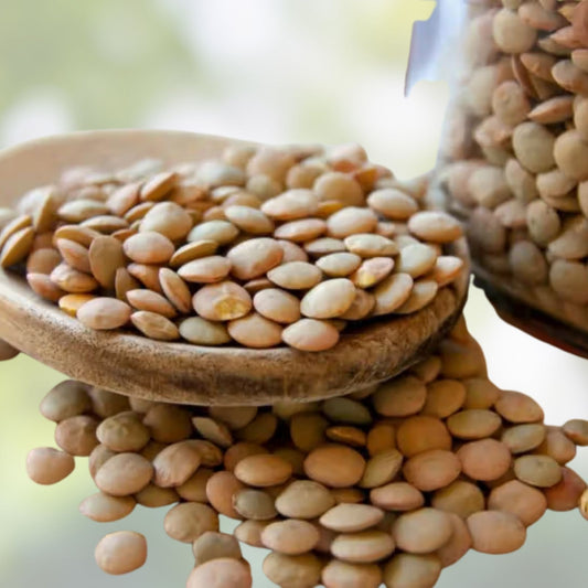 Organic Green Lentils 4 oz – Nutrient-Rich Legumes for Cooking, Sprouting, Vegan, Gluten-Free, Lens culinaris