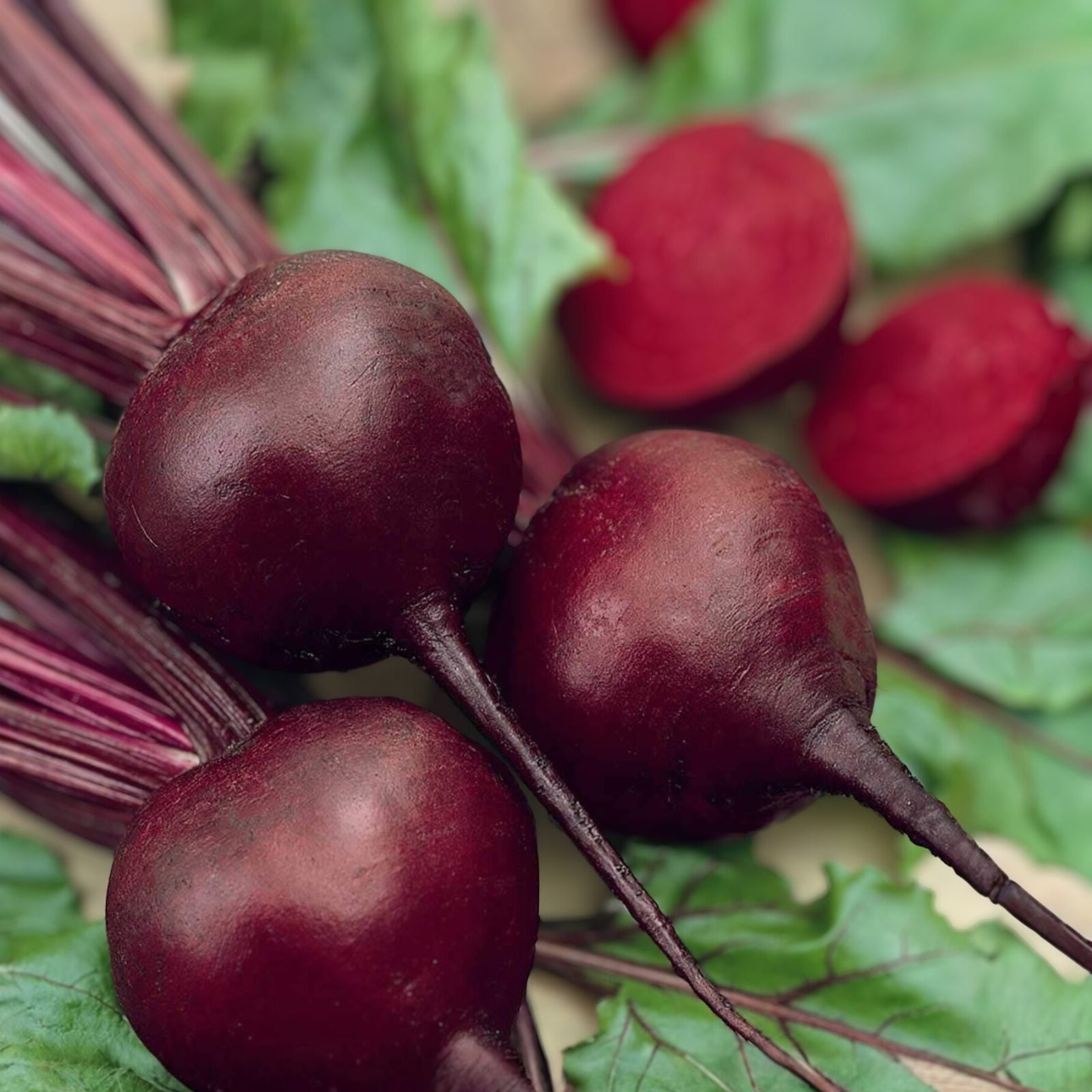 Beet Seeds Detroit Dark Red Non-GMO Heirloom Vegetable Seeds, Beta vulgaris, 100 pack