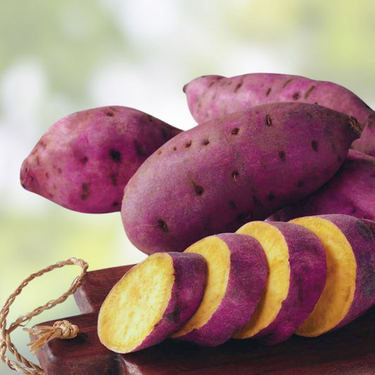 Organic Purple Sweet Potato Yams 5lb | Ipomoea batatas Heirloom Non-GMO Nutrient-Rich Live Plant, Cutting, Starter Plant
