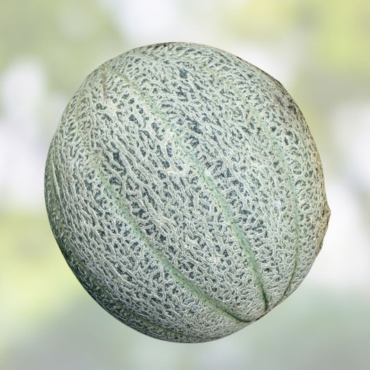Muskmelon Seeds Heirloom Hales Best Jumbo Sweet Cantaloupe Cucumis melo Garden Seed 25+