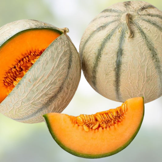 Melon Seeds for Planting – Heirloom Organic Cucumis melo Non-GMO Garden Seeds for Home Gardening
