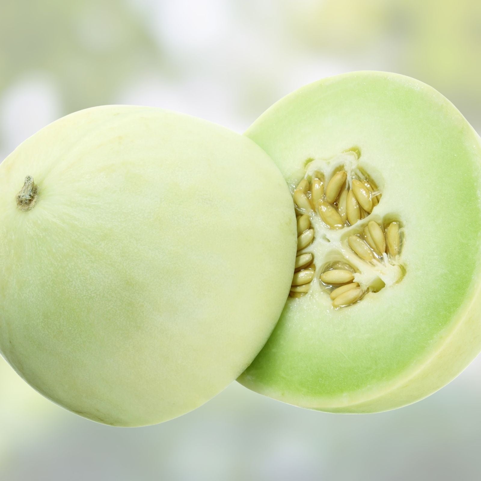 Honey Dew Melon Seeds 500 Pack Heirloom Non-GMO Green Cucumis melo Vegetable Seeds for Gardening, Starter Plant, Live Plant, Cutting
