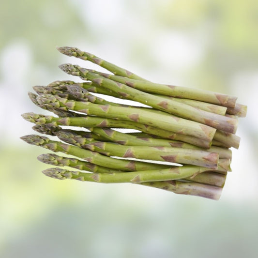 Green Asparagus Seeds – Non-GMO Vegetable Garden Seeds for Asparagus officinalis, Live Starter Plants or Cuttings