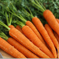 Danvers 126 Carrot Seeds – Heirloom Non-GMO Bulk Pack of 1000+ Organic Vegetable Seeds for Gardening