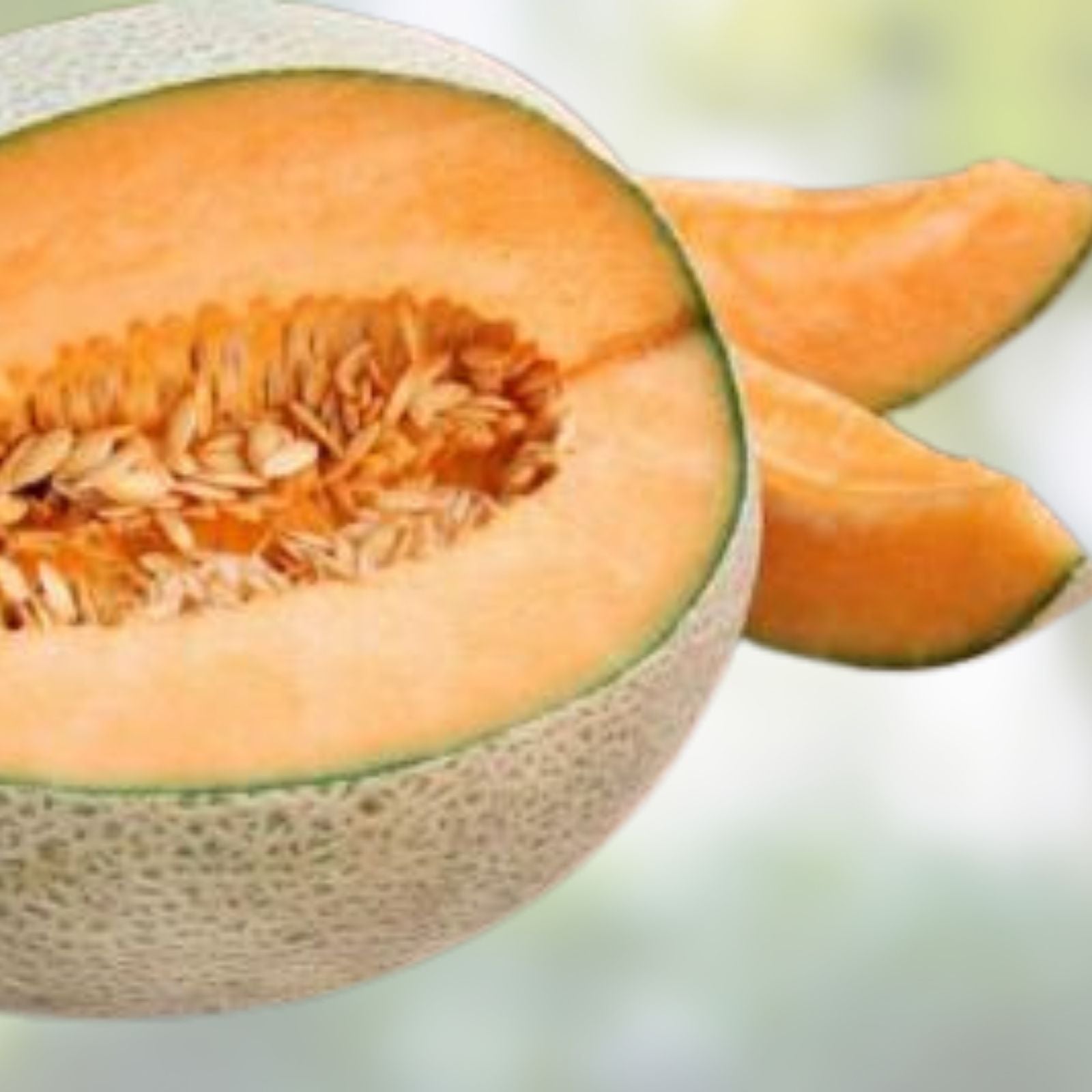 Organic Jambo Cantaloupe Seeds | Non-GMO, USA Grown, Heirloom Melon Seeds, Starter Plant, Live Plant, Cutting, Bare Root