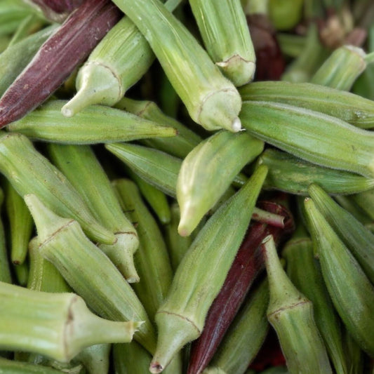 Heirloom Okra Seeds Clemson Variety Non-GMO 500 Count Vegetable Seeds, Abelmoschus esculentus, garden starter, live plant, cutting