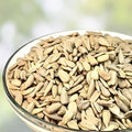 Organic Sunflower Seeds Assorted Non-GMO 500 Count Garden, Sprouting, Live Plant, Bare Root, Starter Plant
