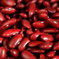Red Kidney Bean Seeds 30 Pack – Easy to Grow Healthy Phaseolus vulgaris, Fast Growing Bean Seeds for Gardening