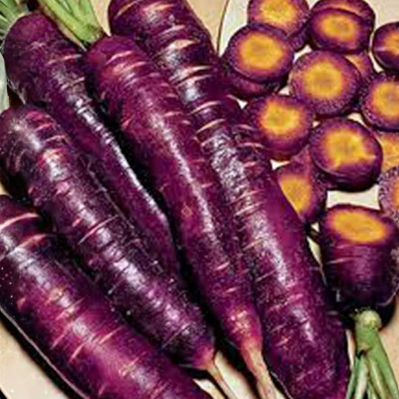 Purple Haze Carrot Seeds – Non-GMO Organic Daucus carota Starter Plants, Tasty Sweet Flavor, 1000+ Seeds, Vegetable Seeds