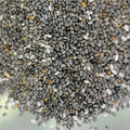 Miniature Pumpkin Seeds 30 Pack for Planting, Orange Cucurbita pepo, Wee-B-Little Pumpkin Seeds, Garden Grow Kit