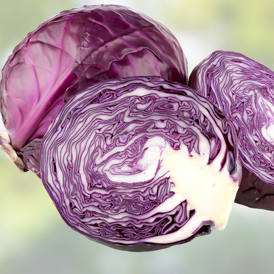 Heirloom Red Acre Cabbage Seeds Non-GMO Vegetable Garden Seed Brassica oleracea 50+ Starter Plant Cutting