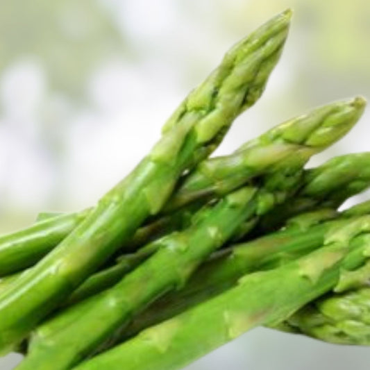 Green Asparagus Seeds 150+ Non-GMO Vegetable Seeds for Planting | Asparagus officinalis Garden Seeds | Fast Growing