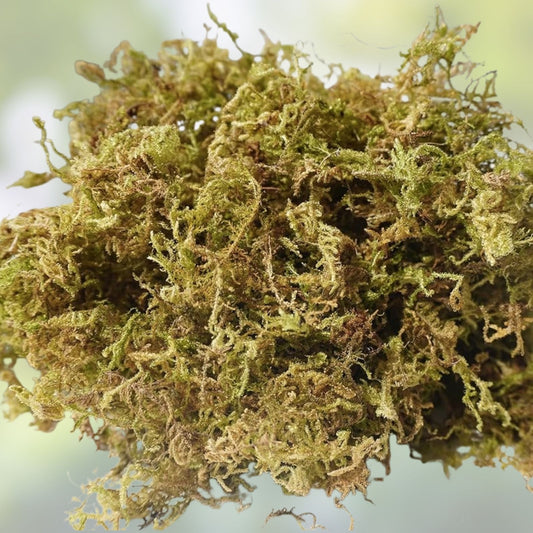 Natural Orchid Moss 7oz Soilless Potting Soil for Orchids, Seedlings, Organic, Eco-Friendly, Non-GMO Growing Medium