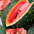 Organic Moon and Stars Watermelon Seeds 20 Pack Non-GMO Heirloom Citrullus lanatus Live Plant Starter Seed