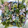 Succulent Cuttings 40 Pack Mixed Varieties – Assorted Succulents for Planting, Garden Decor, Crafting