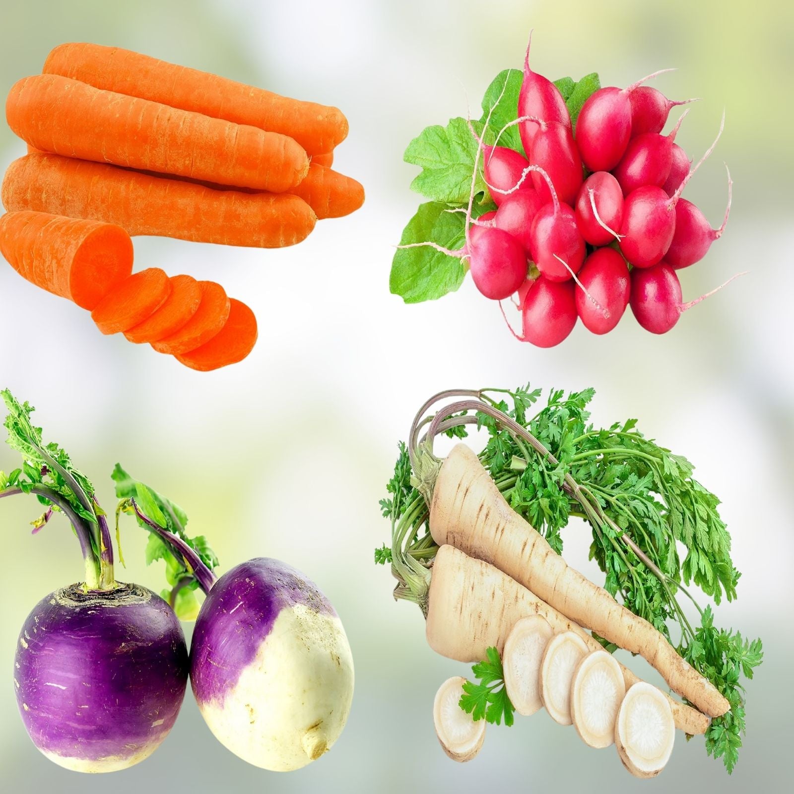 Heirloom Vegetable Seeds Collection 4 Varieties Carrot Beet Radish Turnip Non-GMO Gardening Starter Plants
