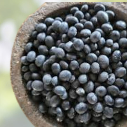Octopus Tree Seeds - 5 Rare Didierea madagascariensis Succulent Seeds for Planting - Unique Madagascar Plant