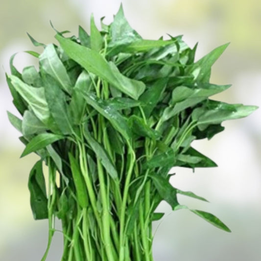 Ong Choy Seeds 100g Vietnamese Water Spinach Hat Rau Muong Kang Kong Ipomoea aquatica - Easy to Grow Vegetable Seeds