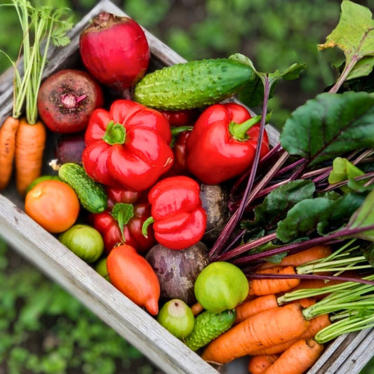 Heirloom Vegetable Seeds Collection 5 Varieties Non-GMO Root Vegetables Organic Garden Starter Plants