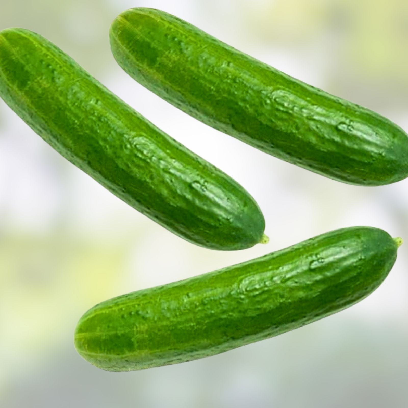 Heirloom Cucumber Seeds Long Green Non-GMO Vegetable Seeds for Garden Farming 50+