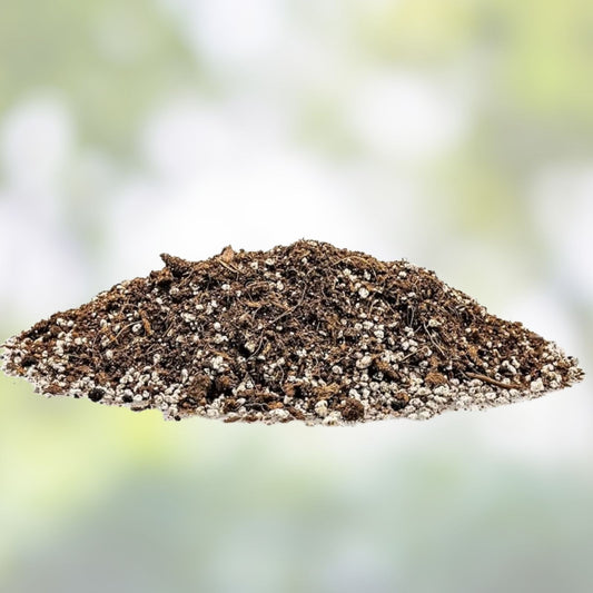 Organic Seed Starter Potting Soil Mix 1qt – All Natural Premium Blend for Seedlings and Plants, Gardening Soil, Organic Plant Soil