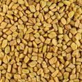 Fenugreek Seeds Heirloom Trigonella foenum-graecum 20+ Live Plant Cuttings Herb for Cooking Gardening