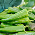 Anaheim Pepper Seeds 100 Heirloom Non-GMO Capsicum annuum Mildly Spicy Vegetable Seeds for Garden Cooking Fresh Eating