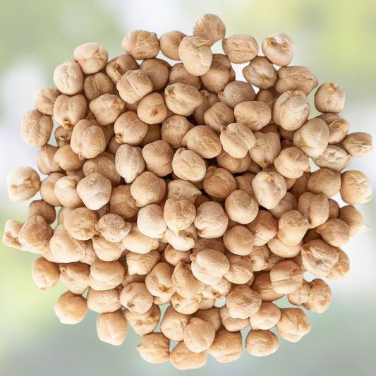 Organic Garbanzo Bean Seeds 1oz – Chickpeas, Cicer arietinum, Non-GMO, Heirloom, Edible Legumes, Planting, Live Seeds