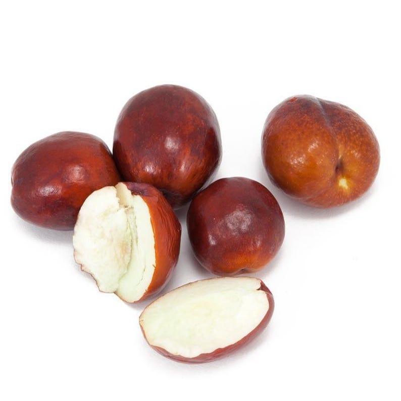 Jujube Tree Grafted 3-4 Feet Li Variety Large Fruit Ziziphus jujuba Ships in 3 Gallon Pot Drought-Tolerant Garden Tree