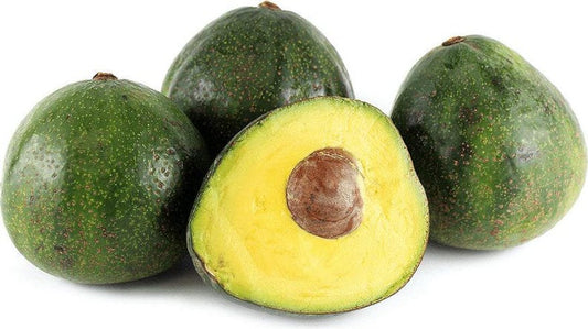 Grafted Nabal Avocado Tree - 3-4 Feet Tall - Persea americana - Fruitful, Full Sun, Backyard Orchard