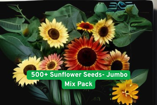 Mixed Sunflower Seeds Pack – 15+ Heirloom Varieties, Multicolor Helianthus annuus, 500+ Seeds for Garden, Cut Flowers & Pollinators