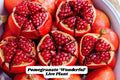 Pomegranate Live Plant – Edible Fruit Tree, 6-8 Inches, Wonderful Variety, Punica granatum, Zones 7-11