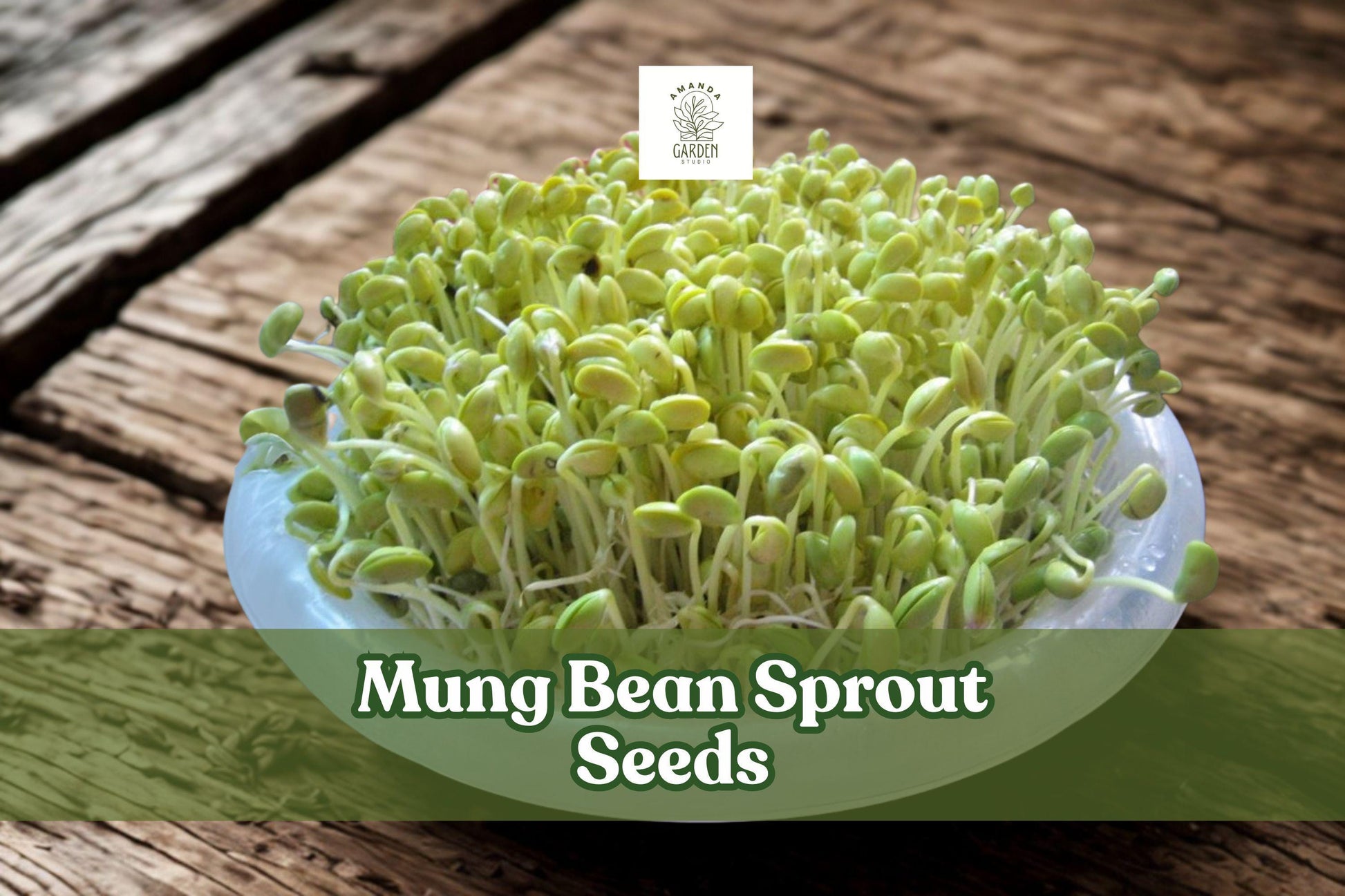 100 Mung Bean Sprout Seeds – Vigna radiata, Edible Sprouts for Indoor Growing, Fresh Green Seeds for Salads & Stir-Fries