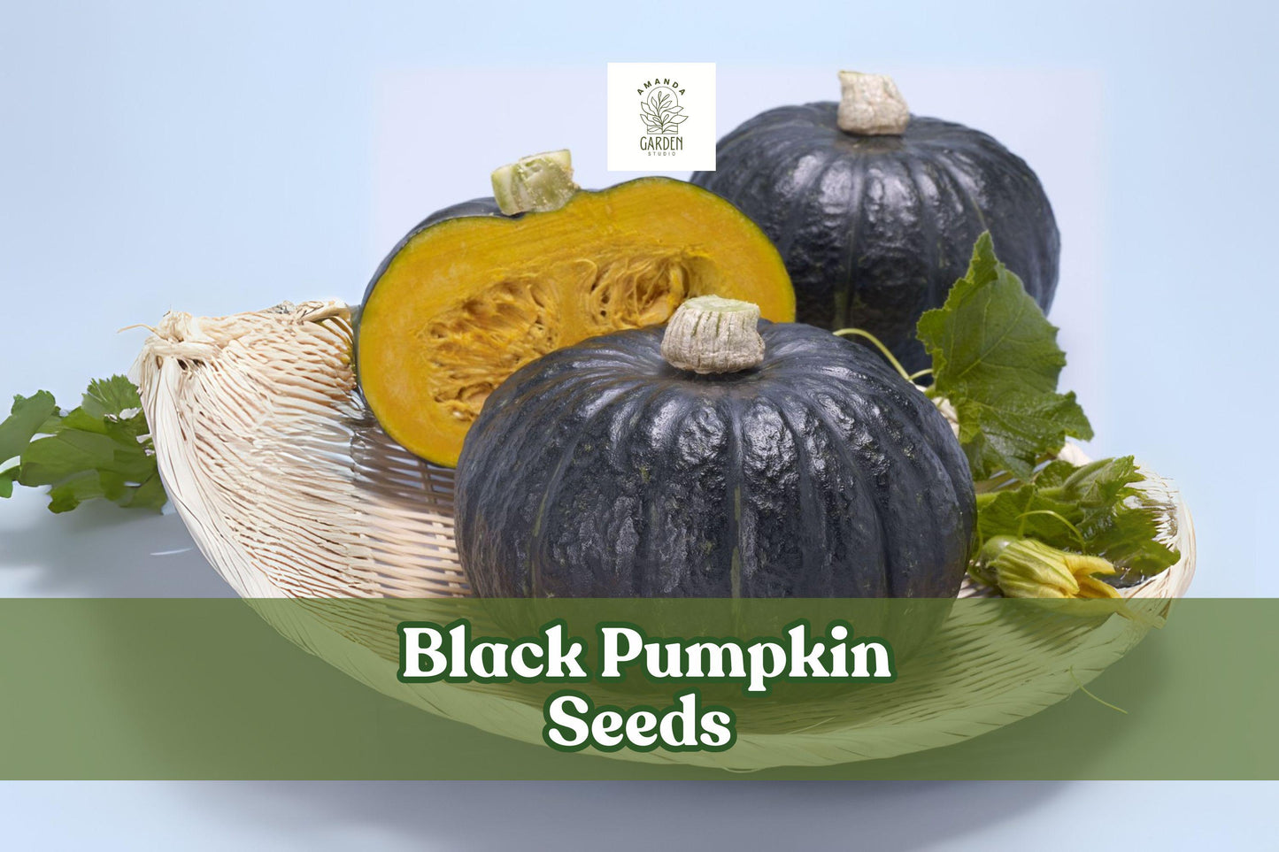 Black Pumpkin Seeds - Kat Variety, Exotic Fall Decor, Cucurbita pepo, Vining, Dark-Skinned Pumpkins