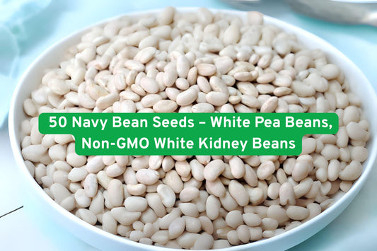 Non-GMO Navy Bean Seeds | Heirloom White Kidney Beans | Phaseolus vulgaris | 50 Seeds